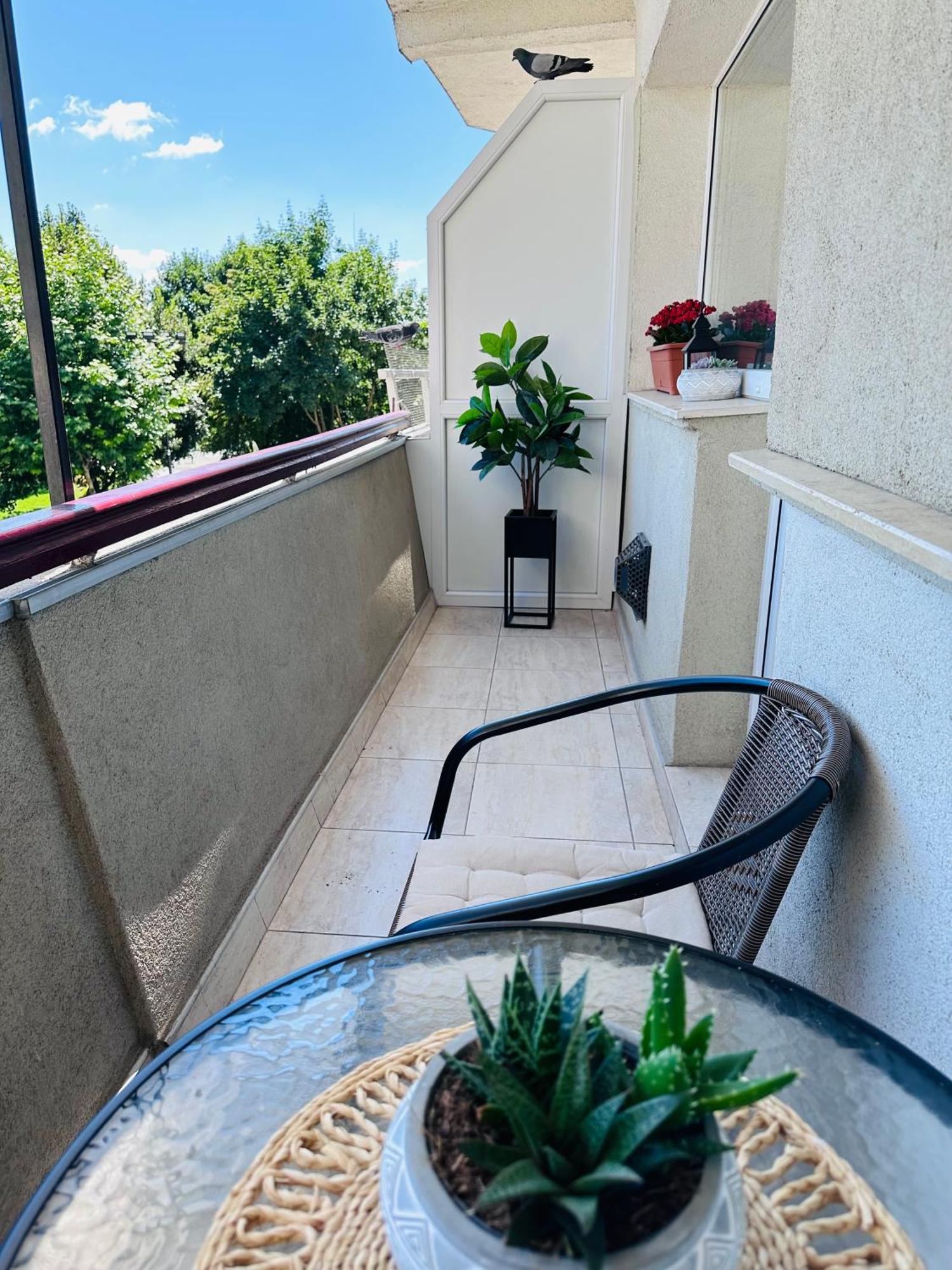 אלבה לוליה Studio Panoramic With Balcony And Parcul Unirii View מראה חיצוני תמונה